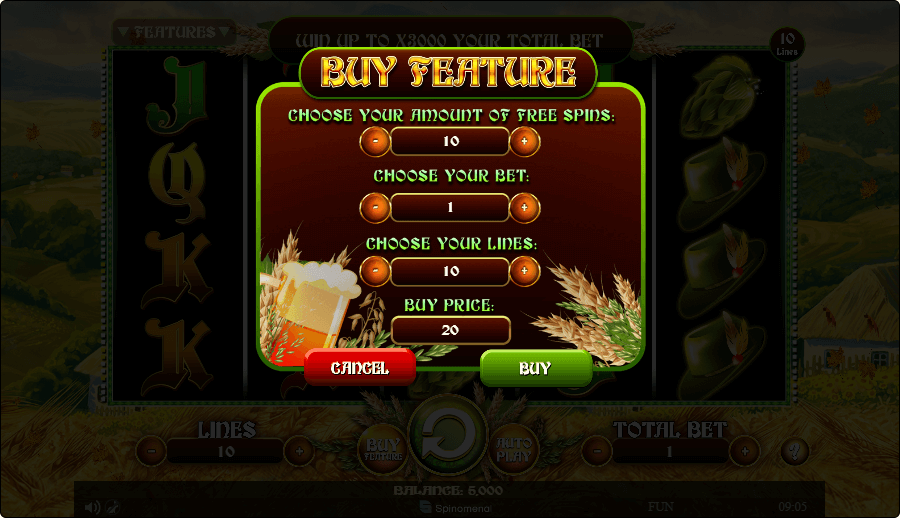 Spinning Beers Online Slot Game Features