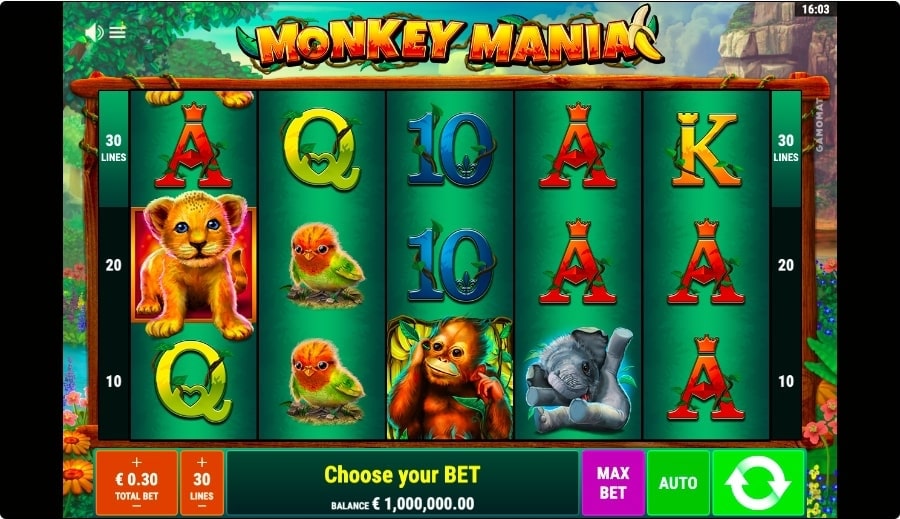 The Monkey Mania Slot Reels