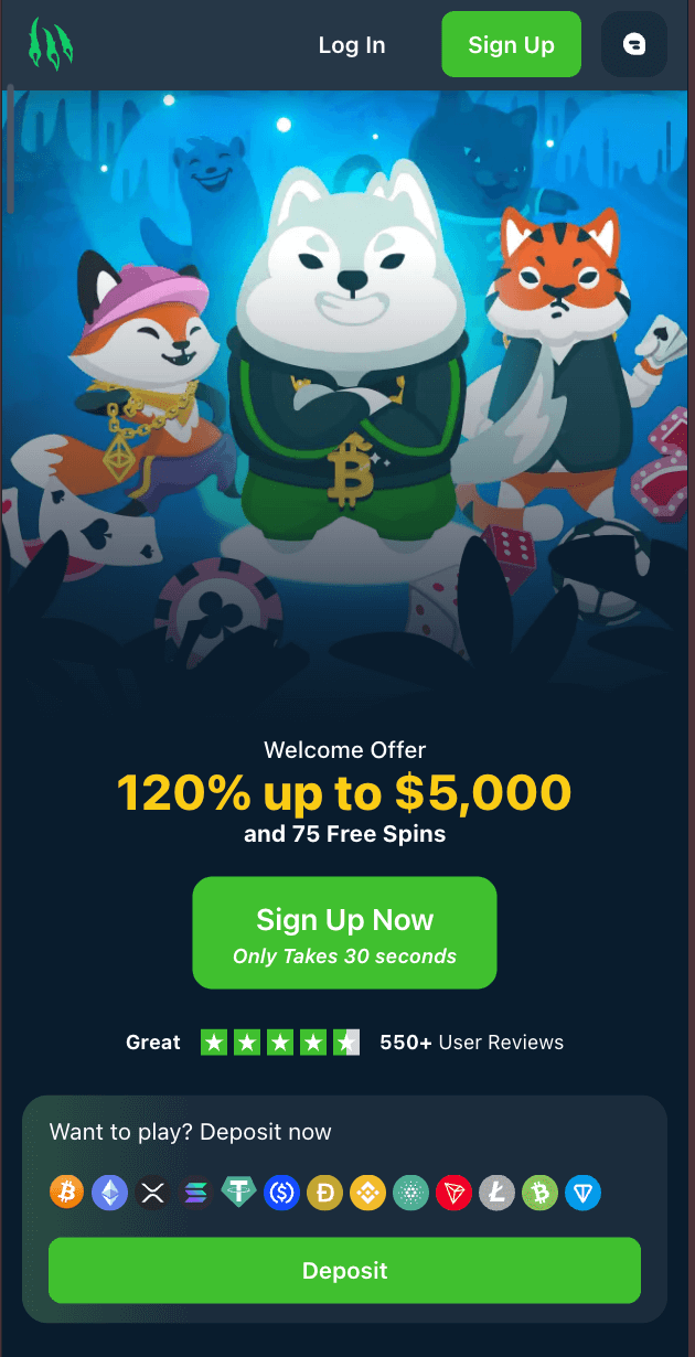 wild.io Casino Homepage Image