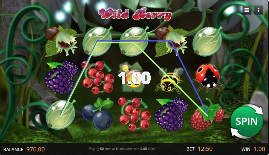The Wild Berry Slot Combination