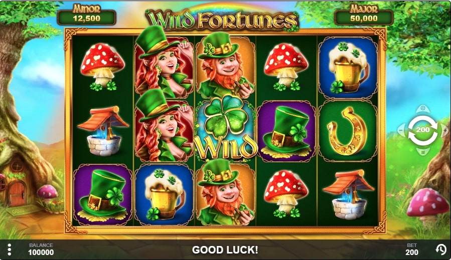 Wild Fortunes Slot Reels