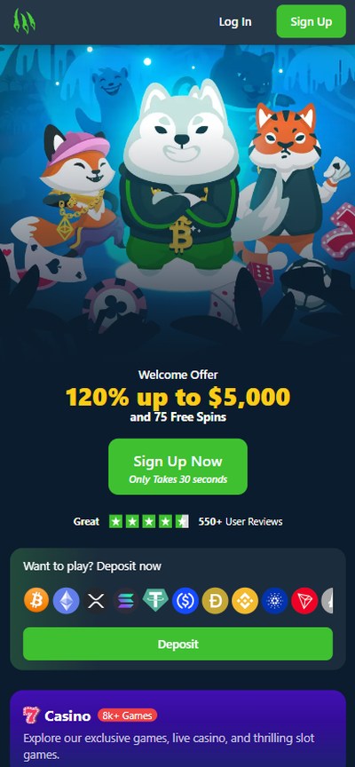 wild.io casino homepage