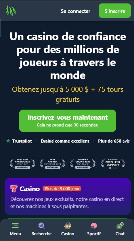 capture d'écran de la page d'accueil du casino wild.io